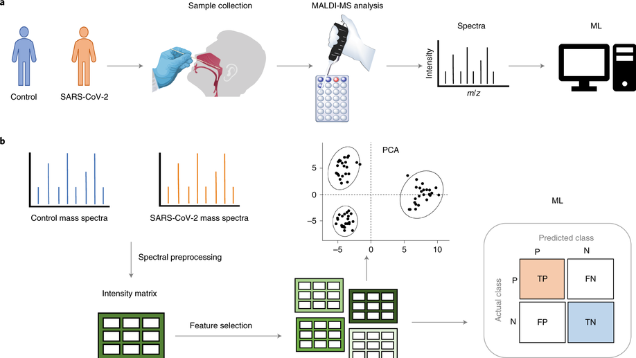 Detection of SARS-CoV-2 in nasal swabs using MALDI-MS