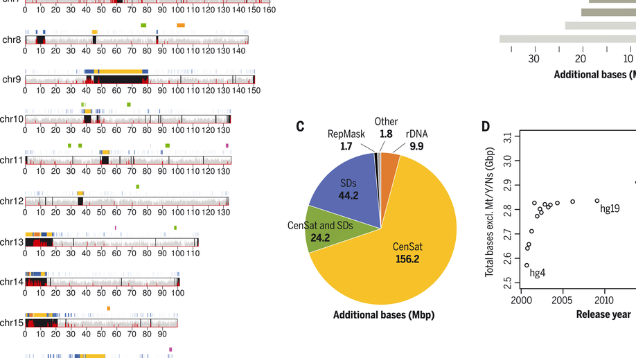 The complete sequence of a human genome